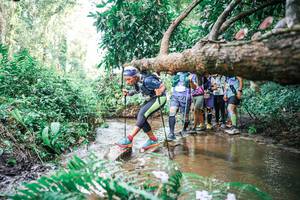 BIB: 
                            <button type="button" onclick="openModal(25514343)" class="btn btn-primary btn-sm float-right btn-popup" data-toggle="modal" data-target=".modal-high-quality">
                        <i class="fas fa-shopping-cart"></i> Add to Cart
                    </button>
                                            <button type="button" onclick="isThisMe(25514343, true)" class="btn btn-success btn-sm float-right btn-popup btn-isme hidden" data-toggle="tooltip" data-placement="bottom" title="นี่คือรูปของคุณใช่ไหม คลิกที่นี่เพื่อเอาเข้าอัลบั้ม">
                        <i class="fas fa-plus"></i> Add to album
                    </button>
                    <button type="button" onclick="isThisMe(25514343, false)" class="btn btn-warning btn-sm float-right btn-popup btn-isnotme hidden">
                        <i class="fas fa-ban"></i> Remove from album
                    </button>